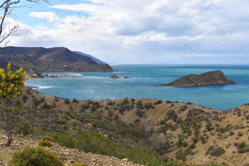 marokko_2026_CALA_IRIS_007