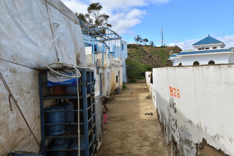 marokko_2026_CALA_IRIS_019