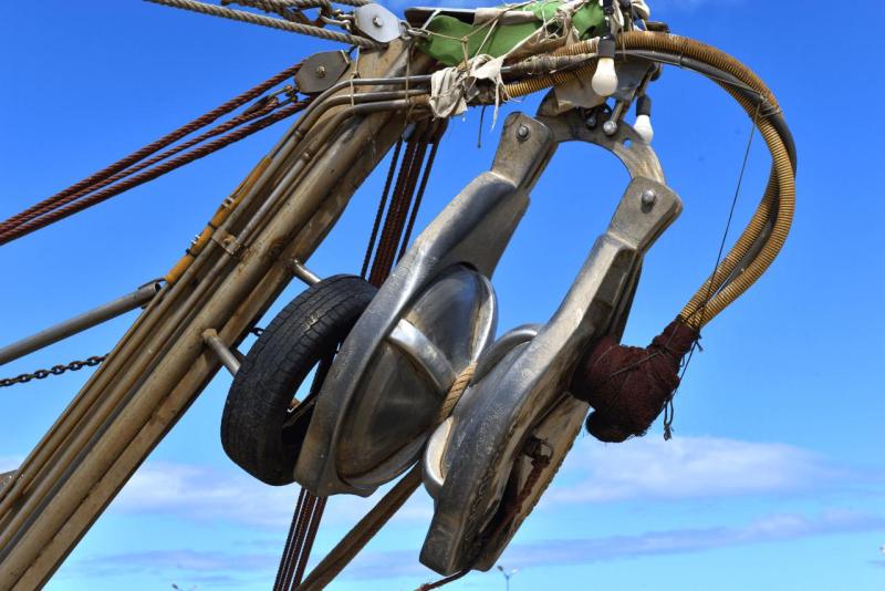 marokko_2026_CALA_IRIS_023