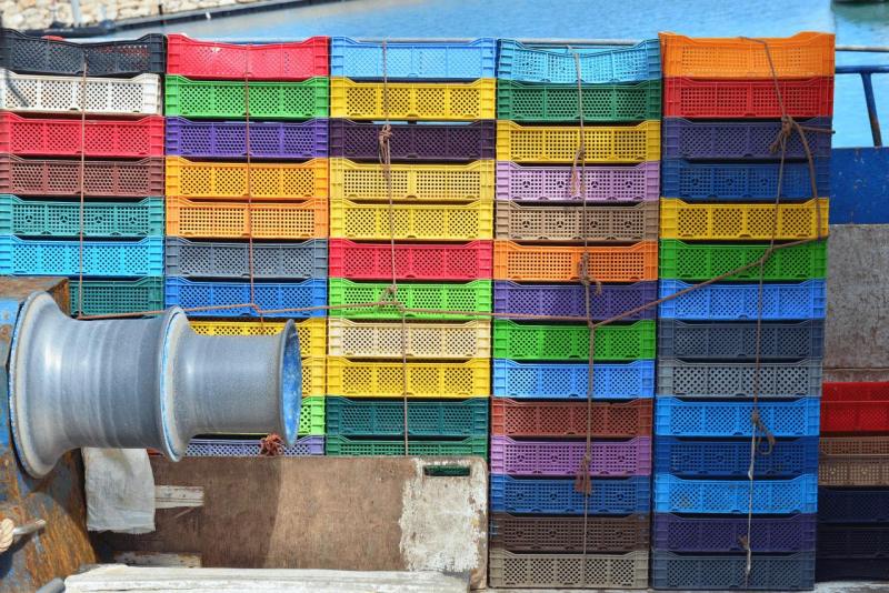 marokko_2026_CALA_IRIS_026