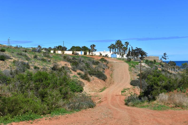 marokko_2026_CALA_IRIS_028