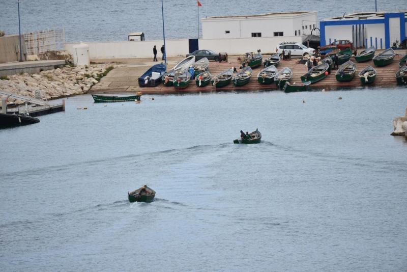 marokko_2026_CALA_IRIS_029