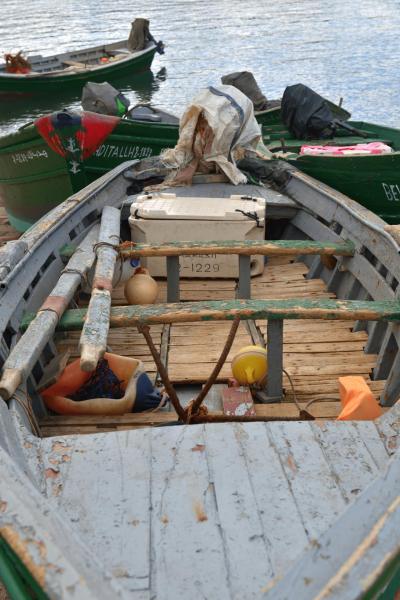 marokko_2026_CALA_IRIS_033