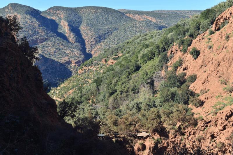 marokko_2026_cascade_de_ouzoud_029