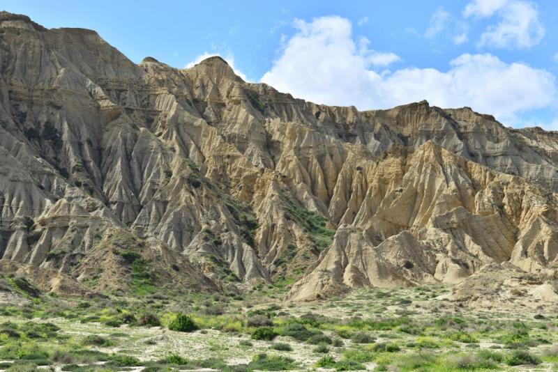 marokko_2026_CALA_IRIS_005