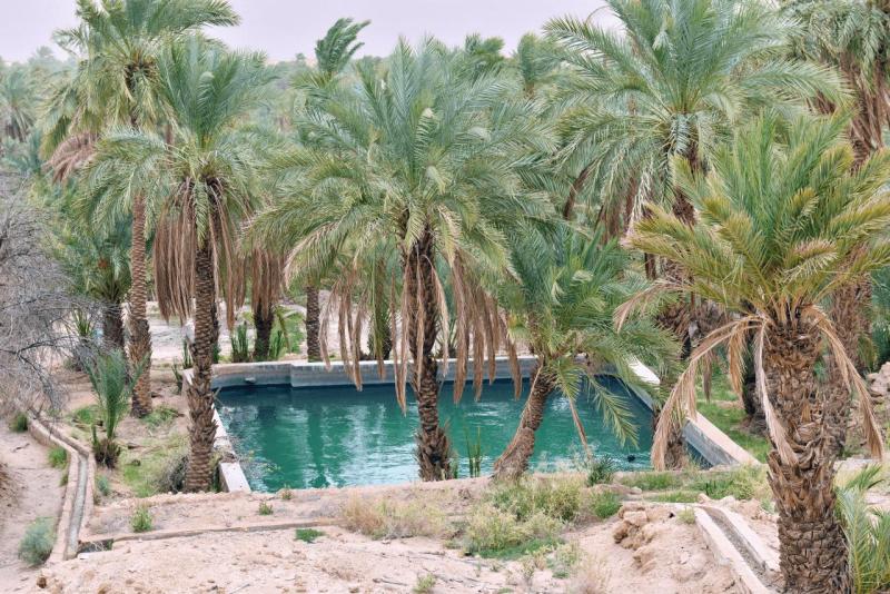 marokko_2026_figuig_007