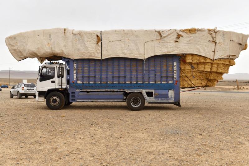 marokko_2026_goulmima_bouarfa_011