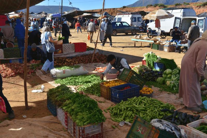 marokko_2026_ouzoud_024