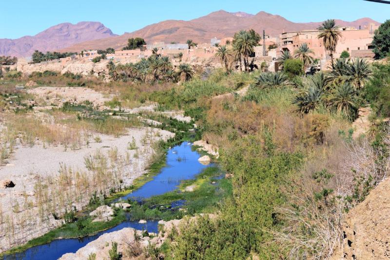 marokko_2026_tafa_foum_ziguid_015