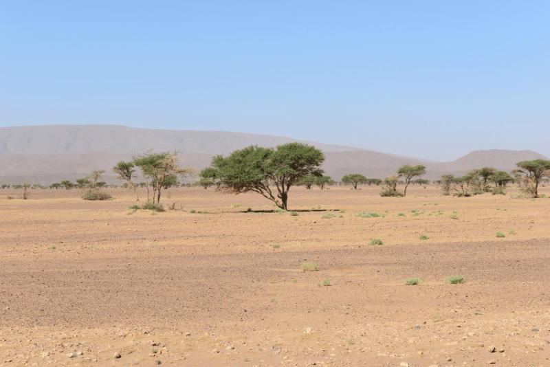 marokko_2026_tafa_foum_ziguid_028