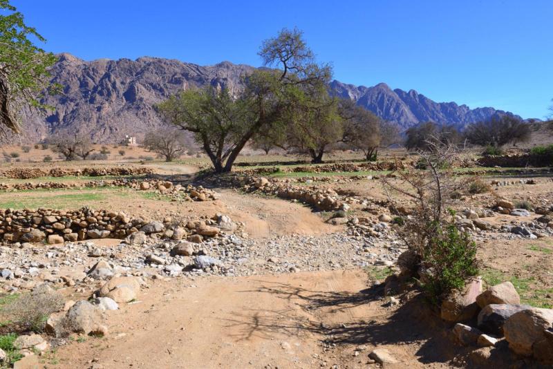 marokko_2026_tafraoute_ausfluege_003