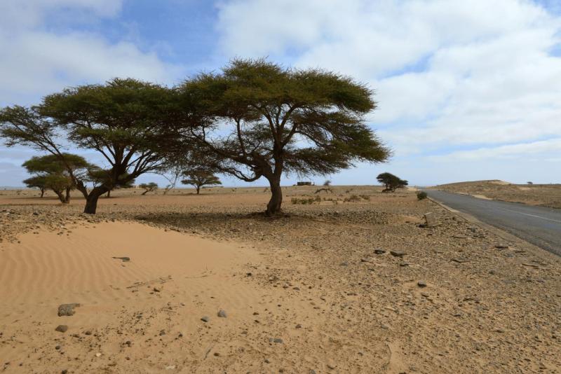 marokko_2026_zag_004