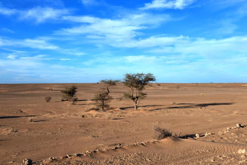 marokko_2026_zag_018