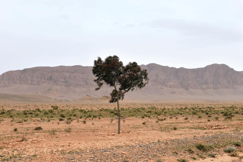 marokko_2026_figuig_006