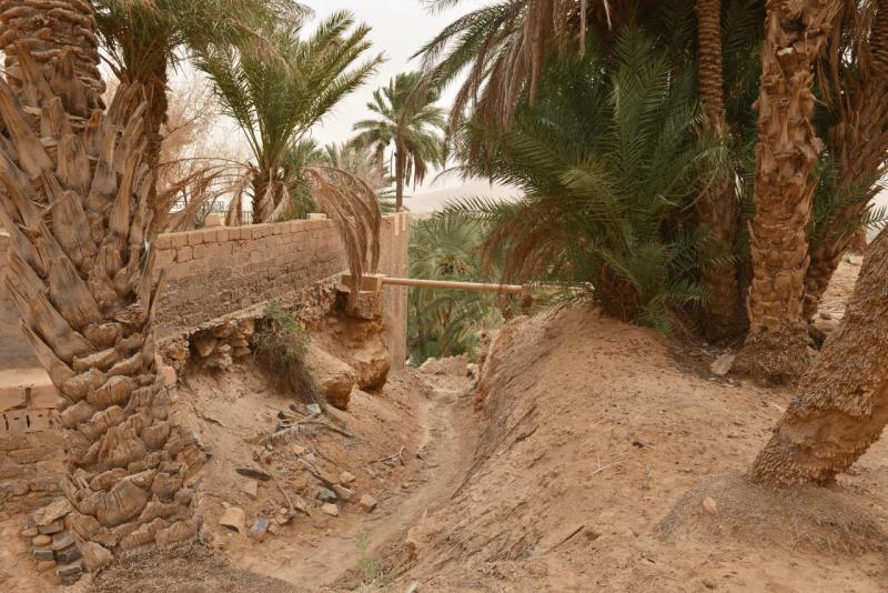 marokko_2026_figuig_008