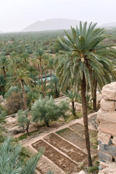 marokko_2026_figuig_010