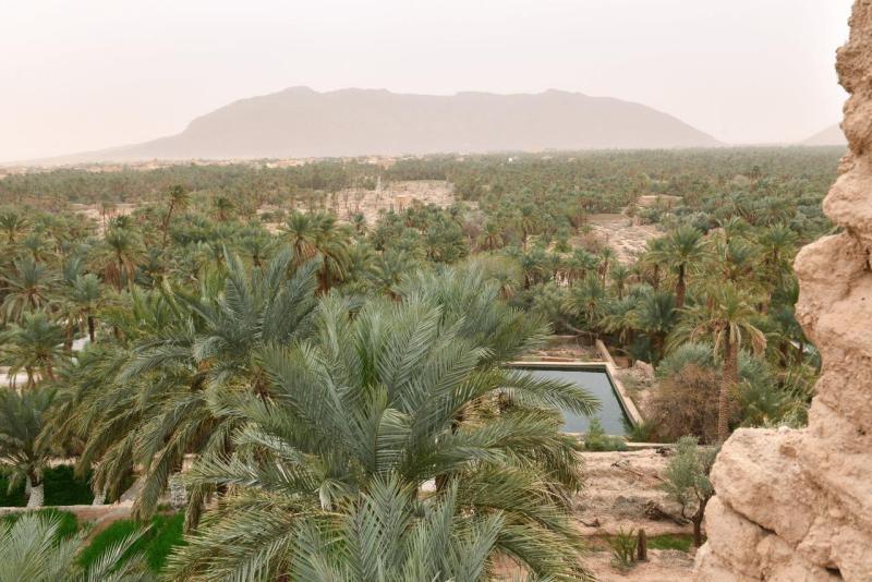 marokko_2026_figuig_011