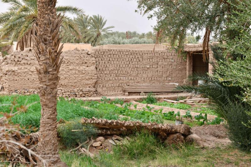 marokko_2026_figuig_013