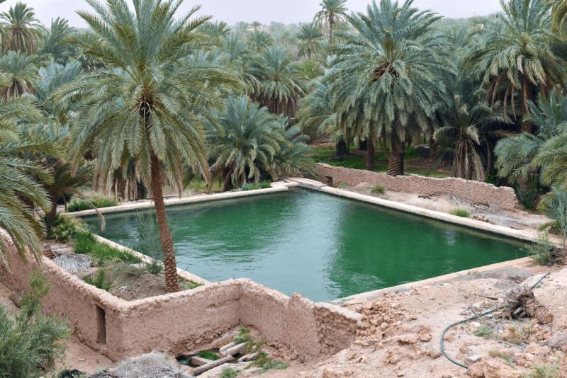 marokko_2026_figuig_016