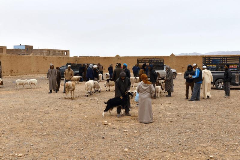 marokko_2026_goulmima_bouarfa_015