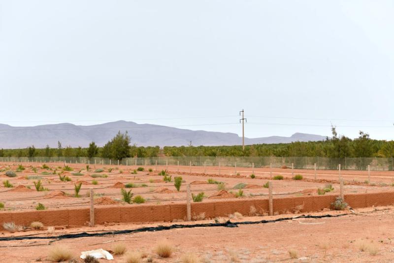 marokko_2026_goulmima_bouarfa_016