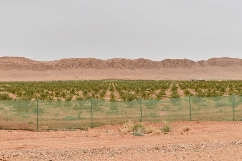 marokko_2026_goulmima_bouarfa_017