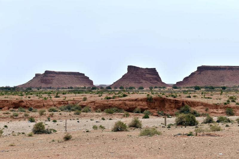 marokko_2026_goulmima_bouarfa_018