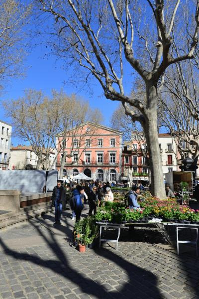 maokko_2026_heimreise_010