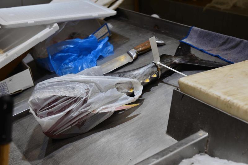 maokko_2026_heimreise_012