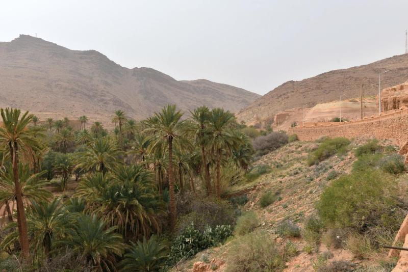 marokko_2026_ich_005