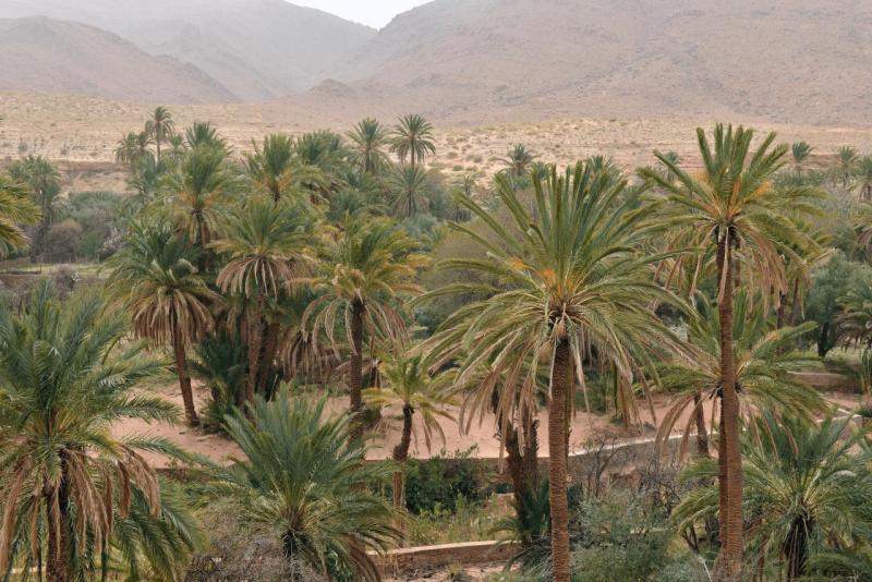 marokko_2026_ich_006