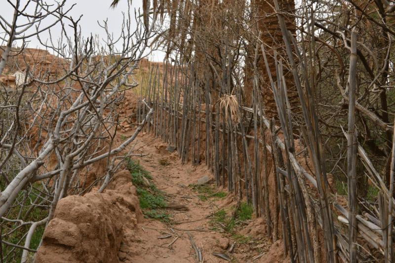 marokko_2026_ich_017