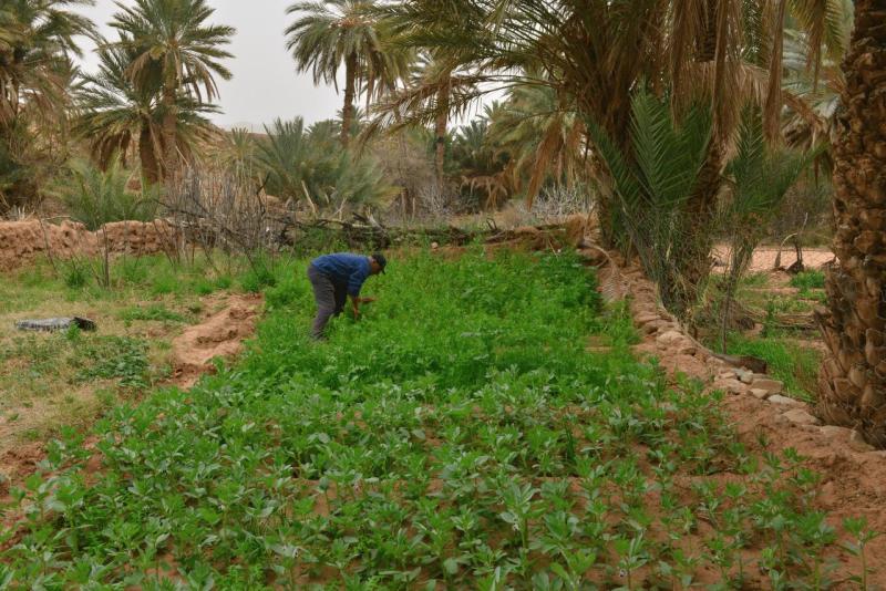 marokko_2026_ich_018