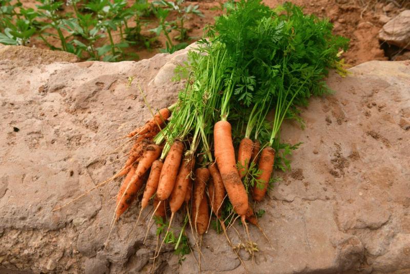 marokko_2026_ich_019