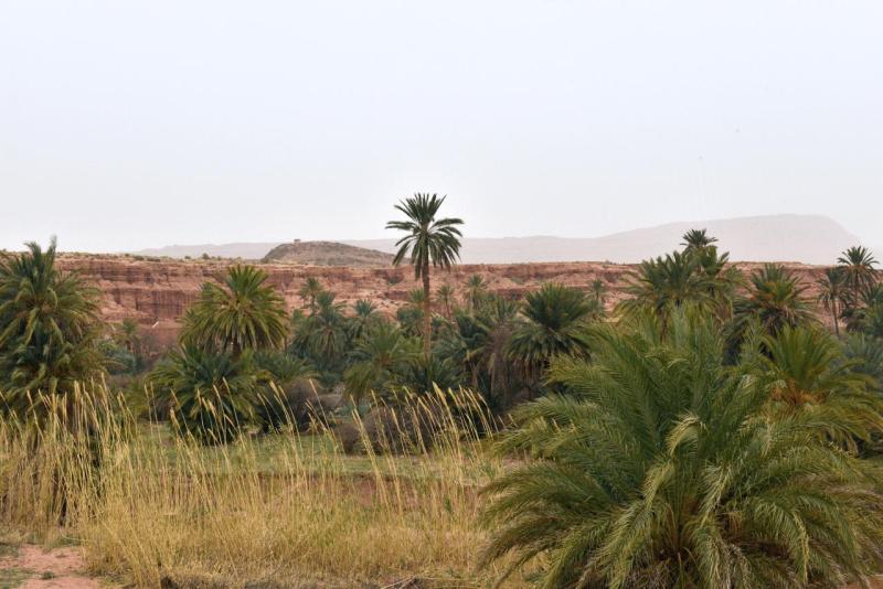 marokko_2026_ich_020