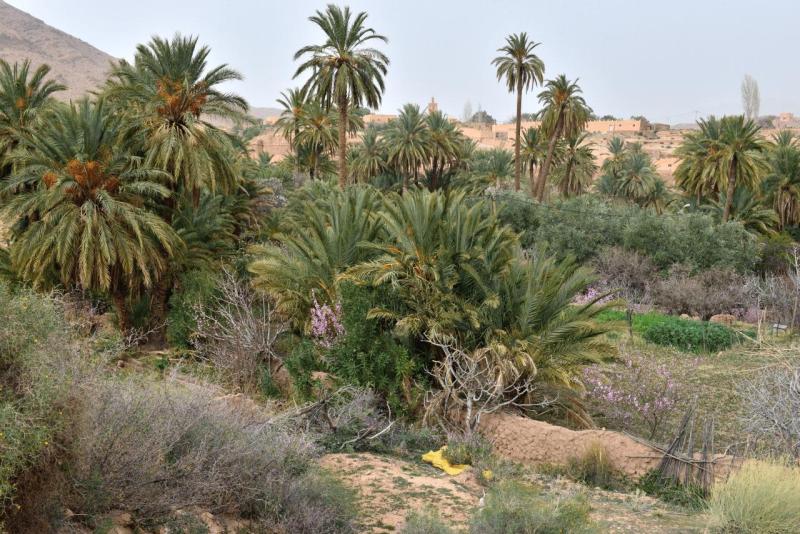 marokko_2026_ich_021