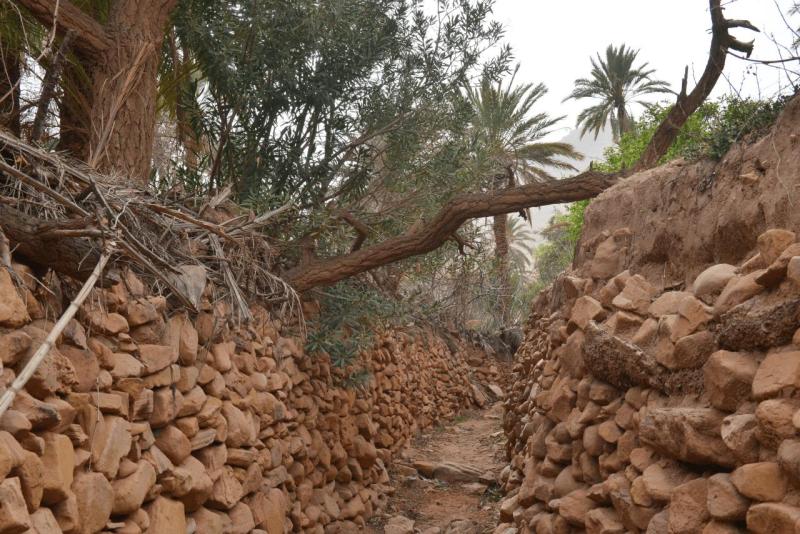 marokko_2026_ich_024