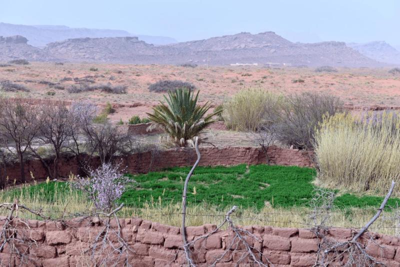 marokko_2026_ich_031