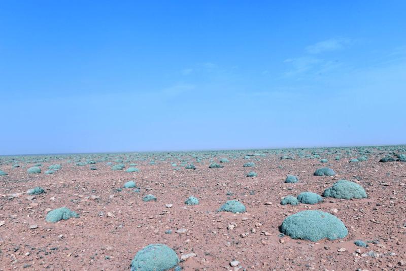 marokko_2026_ich_035