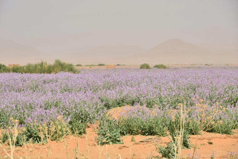 marokko_2026_ich_040