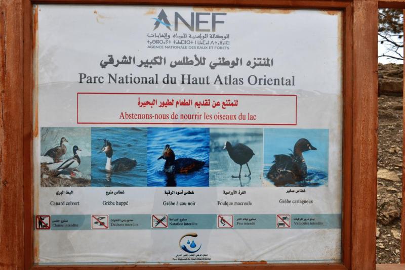 marokko_2026_hoher_atlas_imichil_lac_tislit_todra_023