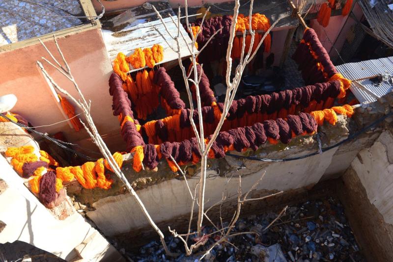 marokko_2026_marakesh_018