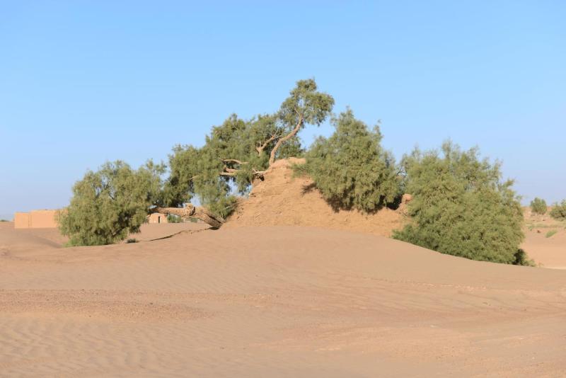 marokko_2026_mhamid_009