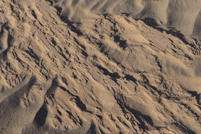 marokko_2026_mhamid_010