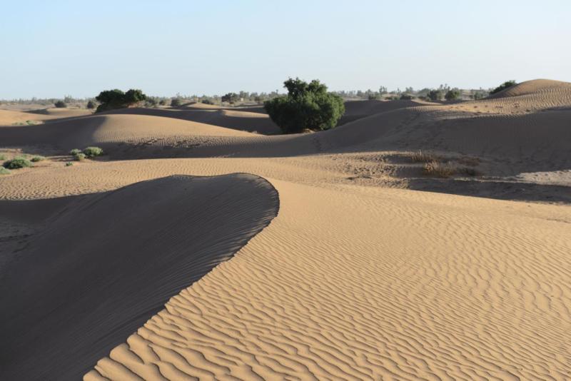 marokko_2026_mhamid_013