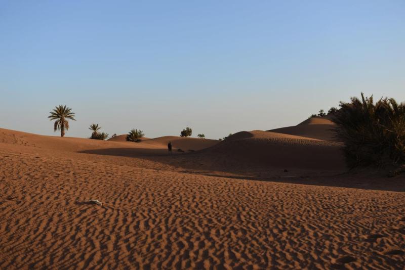 marokko_2026_mhamid_015