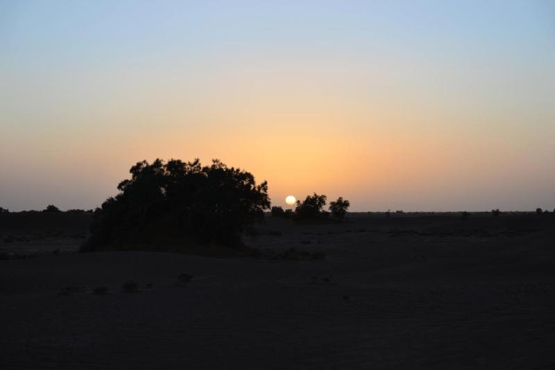 marokko_2026_mhamid_018