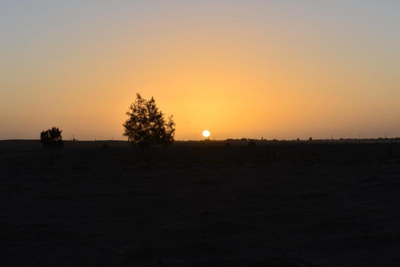 marokko_2026_mhamid_020