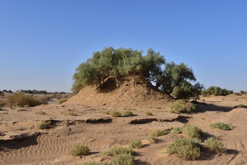 marokko_2026_mhamid_025