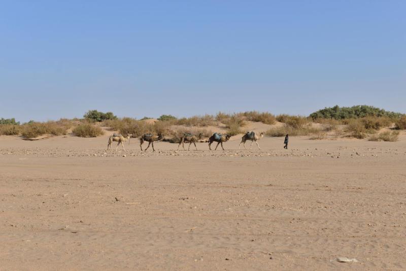 marokko_2026_mhamid_028